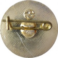 Нагрудный знак СНГ 