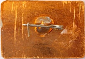 Нагрудный знак 70 лет  ПОД  ЗНАМЕНЕМ  ВЕЛИКОГО  ОКТЯБРЯ.  УЗБЕКИСТАН. 