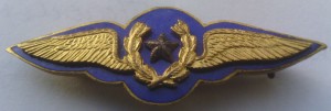 Badge Pilot 