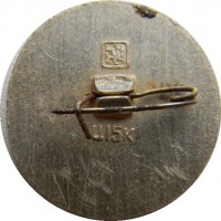 Нагрудный знак Владимир, Золотое кольцо 