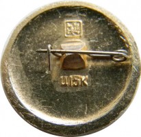 Нагрудный знак Зубцов 