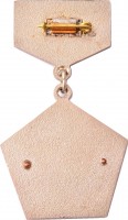 Нагрудный знак За безопасность движения, МПС СССР 