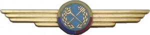 Нагрудный знак Юридическая служба ВВС 