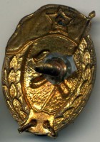 Нагрудный знак Военное химическое училище 1951 