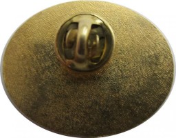 Нагрудный знак 49 международная космическая экспедиция. Союз МС . Иванишин. Рубинс. Ониси 