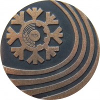 Нагрудный знак VIII зимняя спартакиада профсоюзов СССР 1975 г. 