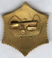 Нагрудный знак Орден ПОЛЯРНАЯ ЗВЕЗДА 