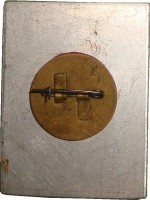Нагрудный знак 313 ПЕТРОЗАВОДСКАЯ СТРЕЛКОВАЯ ДИВИЗИЯ 