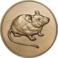 Нагрудный знак Год крысы 