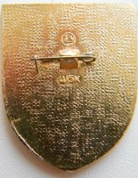 Нагрудный знак СССР-ПНР, Союз-30, Салют-6 