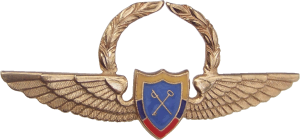 Нагрудный знак Административная служба 