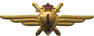 Нагрудный знак Летчик 1 класса 