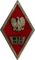 Нагрудный знак Высшая школа офицеров войск химзащиты 