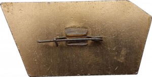Нагрудный знак Студенческий Отряд Медик 1973г, 15 лет 