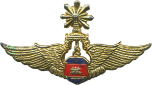 Нагрудный знак Пилот 