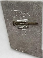 Нагрудный знак Хоккейный клуб 