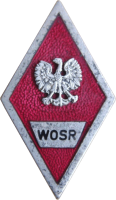 Нагрудный знак Высшая офицерская радиотехническая школа  