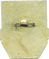 Нагрудный знак Дружинник  