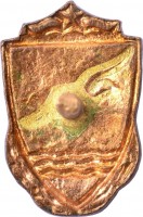 Нагрудный знак ДСО 