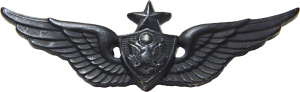 Нагрудный знак Старший член экипажа 
