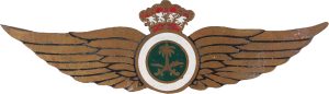 Badge Pilot 