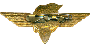 Badge Pilot cosmonaut 1st class 