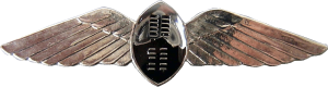 Badge Pilot 