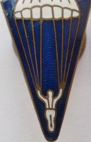Нагрудный знак Парашютист 