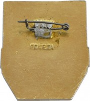 Нагрудный знак Дружинник 