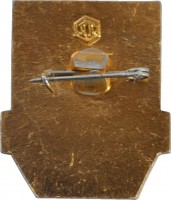 Нагрудный знак Дружинник 