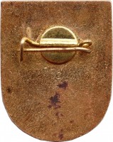 Нагрудный знак Чемпион городских соревнований 