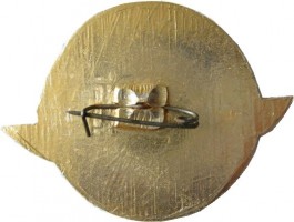Нагрудный знак Горьковский Авиаотряд 50 Лет. 1934-1984 