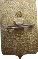 Нагрудный знак Грозный 