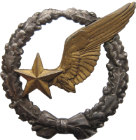 Нагрудный знак Наблюдатель 