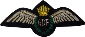 Badge PIlot 