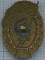 Нагрудный знак Медицинское нормальное военное училище 1953 