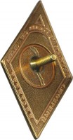 Нагрудный знак Смольный Институт  