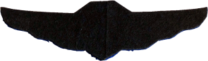 Badge Pilot 1st class 