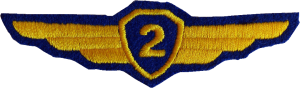 Нагрудный знак Летчик 2 класса 