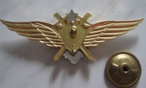 Нагрудный знак Летчик 1 класса 