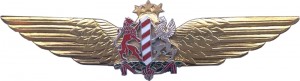Нагрудный знак Пилот пограничной авиации 