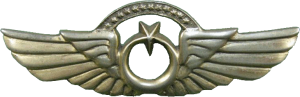 Badge Pilot 1000hrs. 