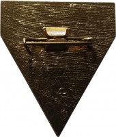 Нагрудный знак Ленинградский Студенческий Отряд. 