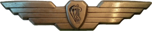 Badge Search and rescue 
