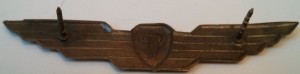 Badge Search and rescue 