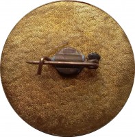 Нагрудный знак Приз Михаила Мамиашвили, Конотоп, Борьба 
