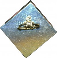 Badge  