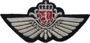Нагрудный знак Пилот 