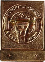 Badge  