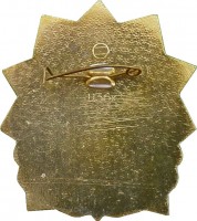Нагрудный знак Каширинец. Славы Героев Достоин. 